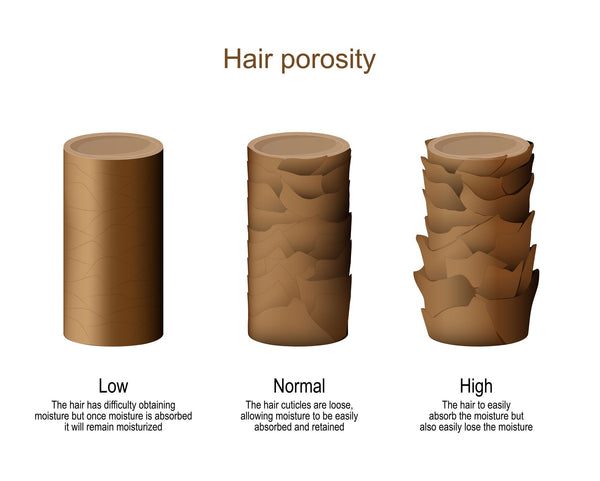 Hair porosity strand test